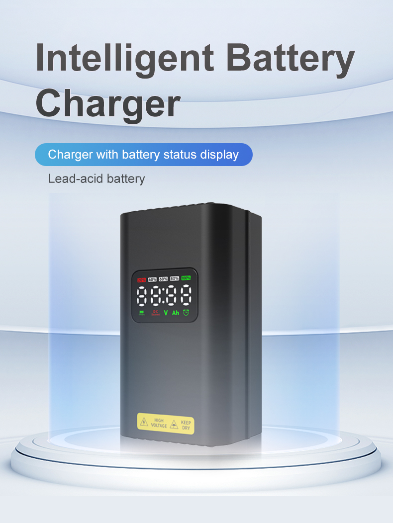 Battery charger (1)